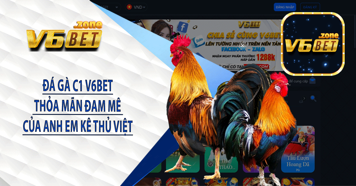 Đá Gà C1 V6BET - Thỏa Mãn Đam Mê Của Anh Em Kê Thủ Việt