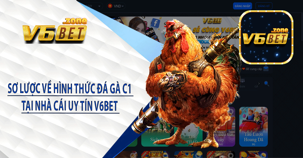 Sơ lược về hình thức đá gà C1 tại nhà cái uy tín V6BET