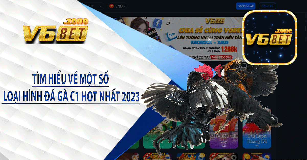 Tìm hiểu về một số loại hình đá gà C1 hot nhất 2023